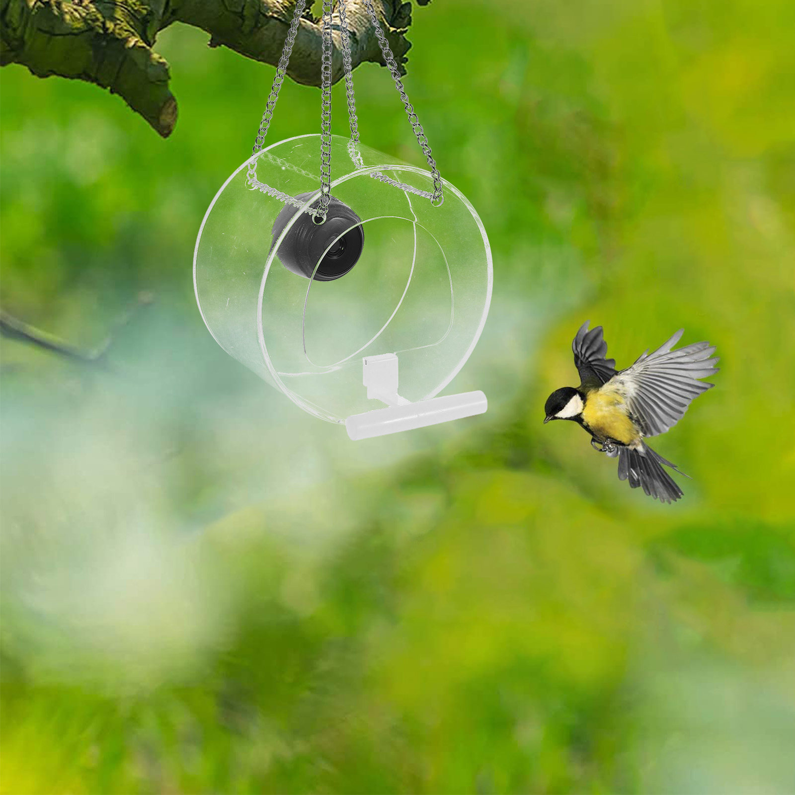 Smart Garden Video - Cámara inteligente con transmisión en vivo,