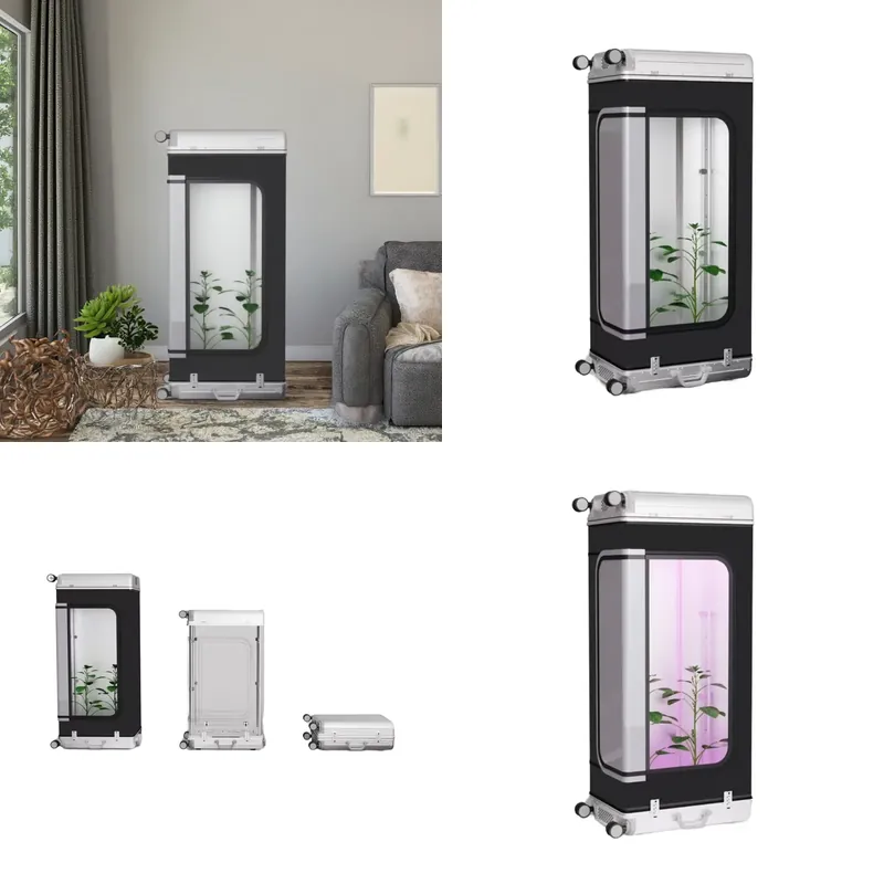 Nuevo Sistema de Cultivo Hidro - Smart Garden Vertical reseña y precio