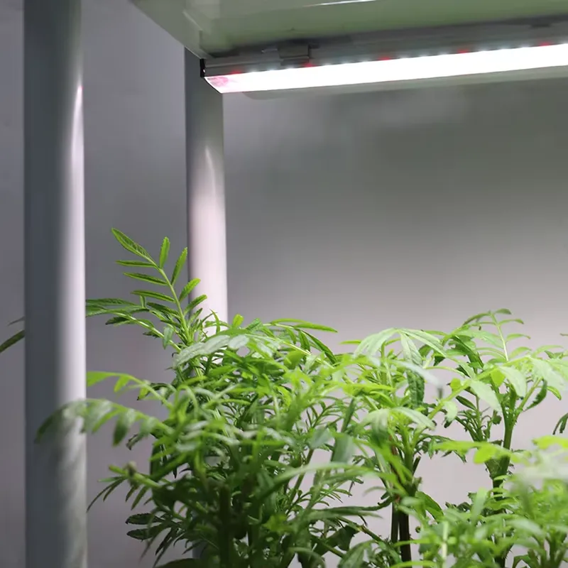 Jardinera Inteligente Vertical - Smart Garden Vertical reseña y precio