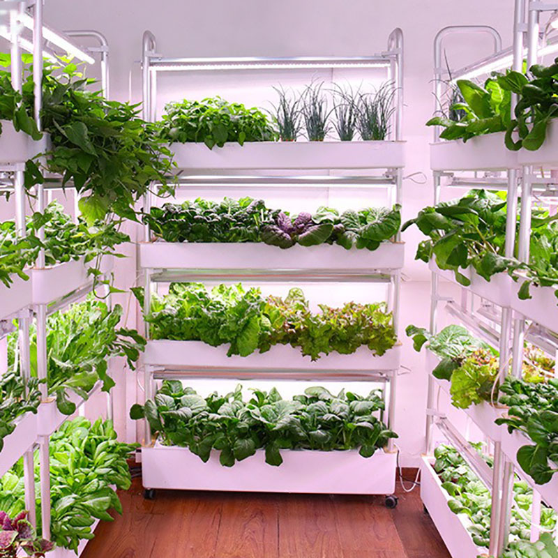 Sistema de cultivo hidropónico - Smart Garden Vertical reseña y precio