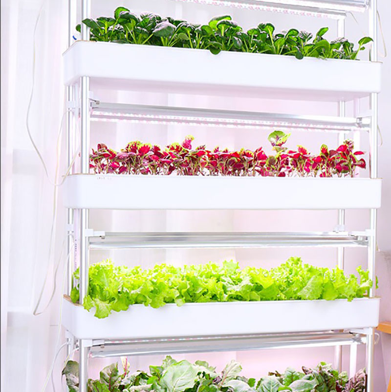 Sistema de cultivo hidropónico - Smart Garden Vertical reseña y precio