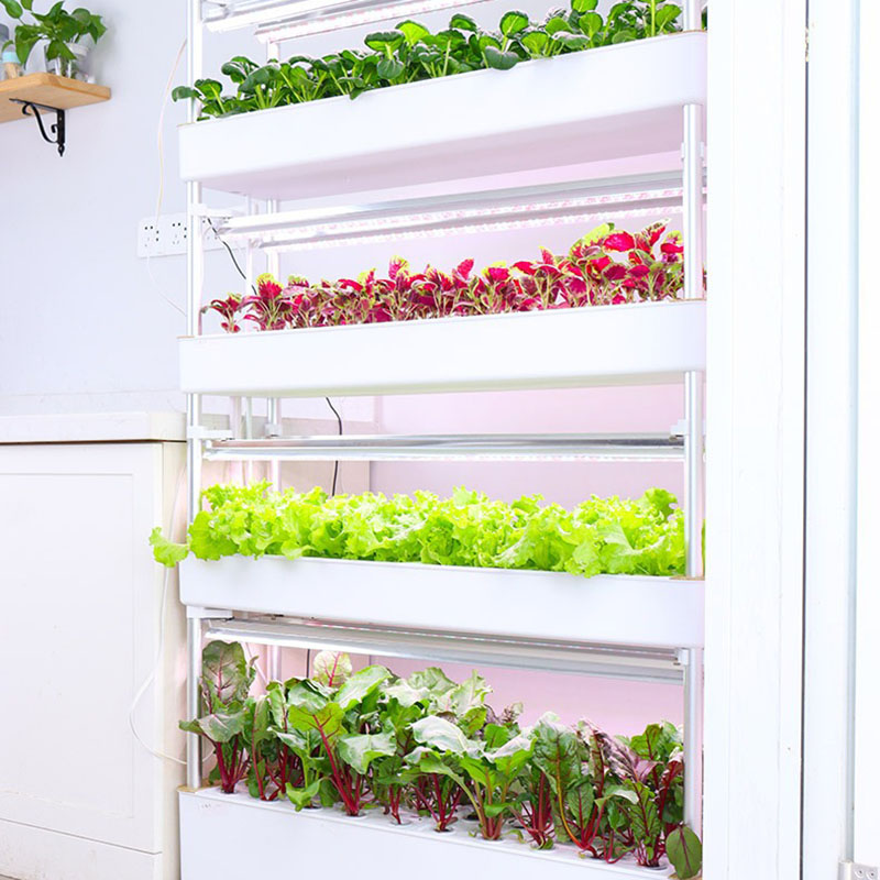 Sistema de cultivo hidropónico - Smart Garden Vertical reseña y precio