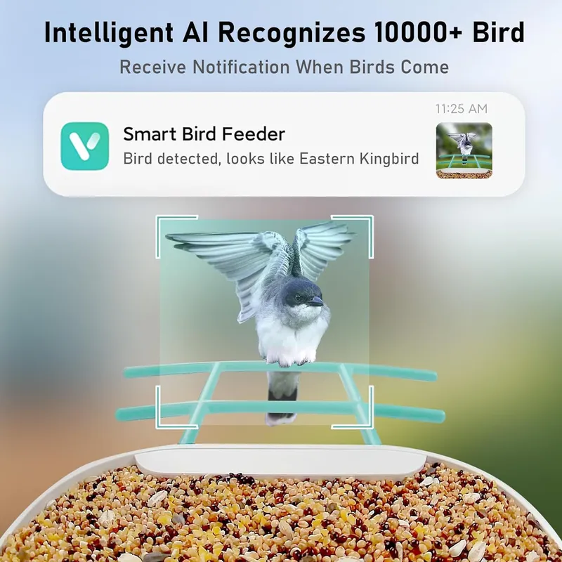Cámara Inteligente para Comede - Smart Garden Video reseña y precio