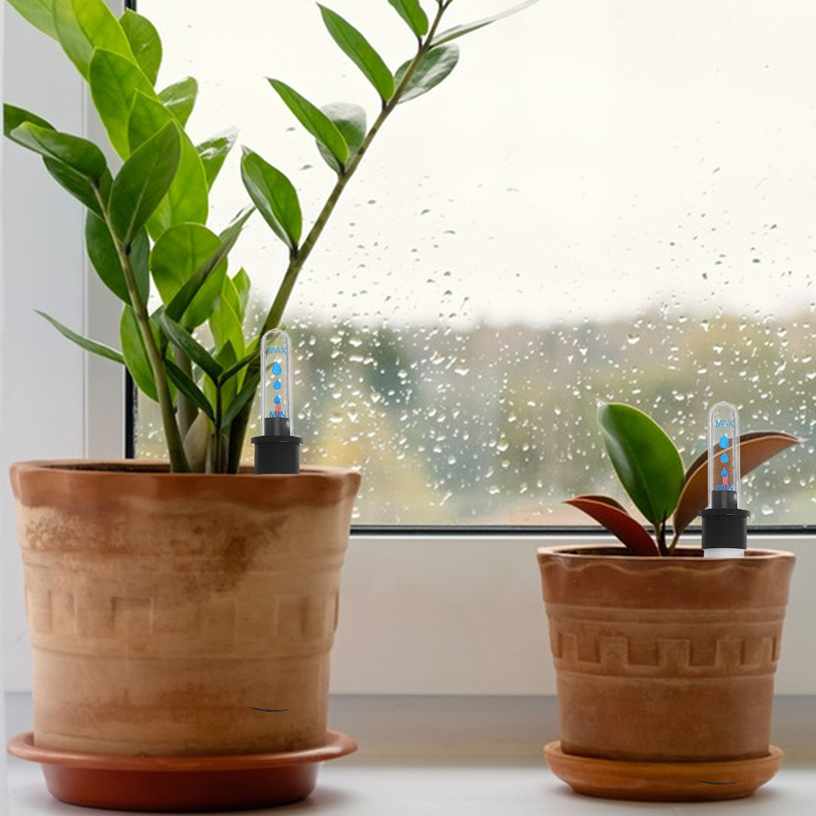 3 Sensores de Nivel de Agua pa - Self Watering Pot Sensor reseña y precio