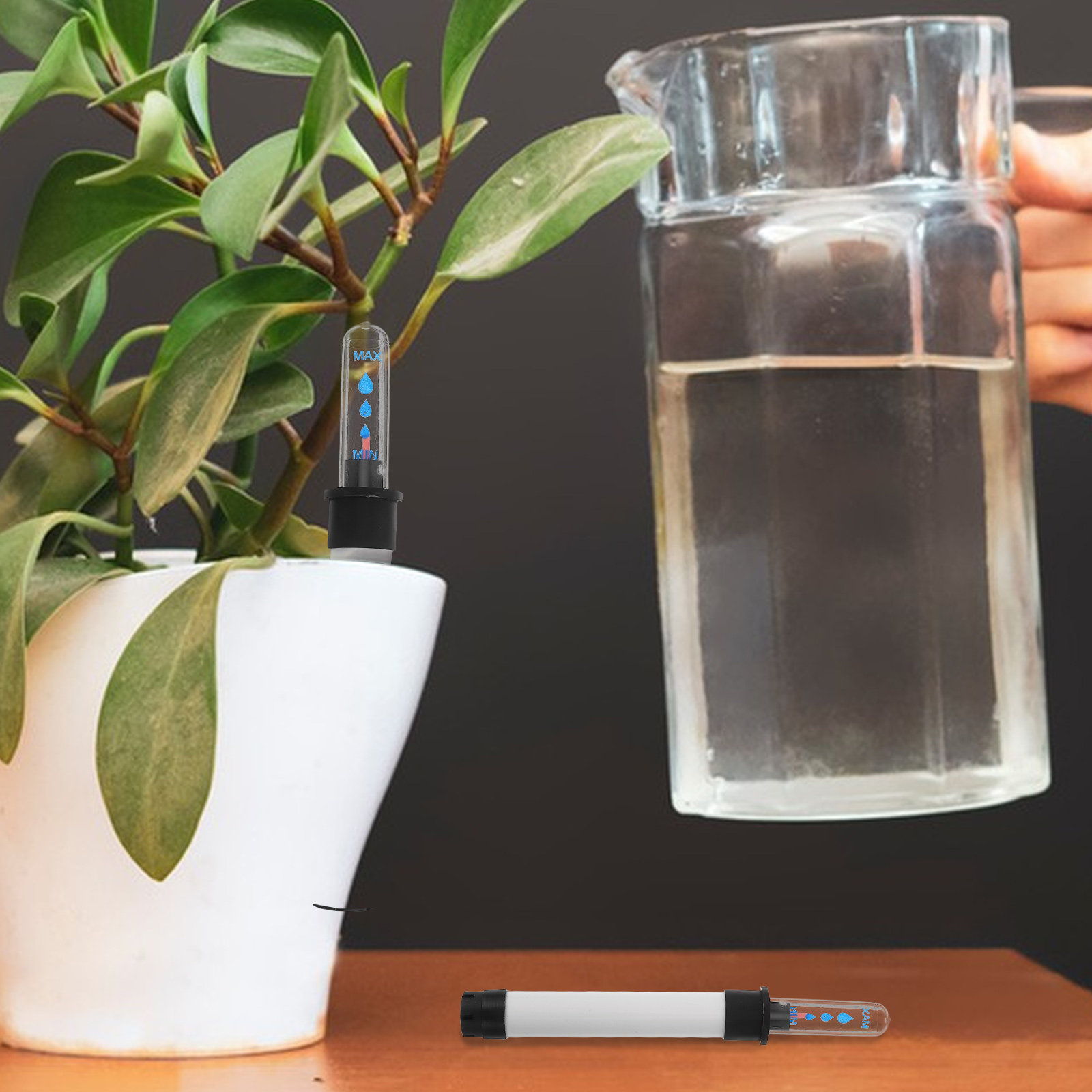 3 Sensores de Nivel de Agua pa - Self Watering Pot Sensor reseña y precio