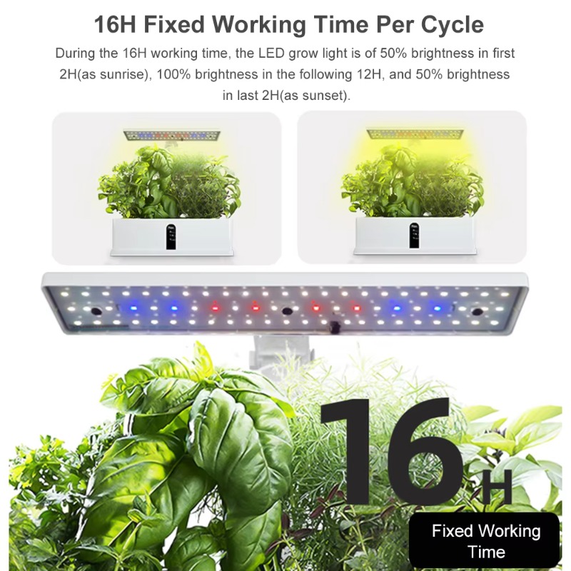 Sistema de Cultivo Hidropónico - Smart Garden Usa reseña y precio