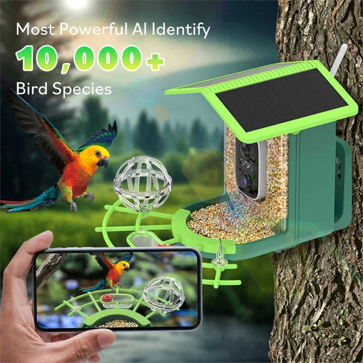 Cámara Inteligente para Pájaro - Smart Garden Video reseña y precio